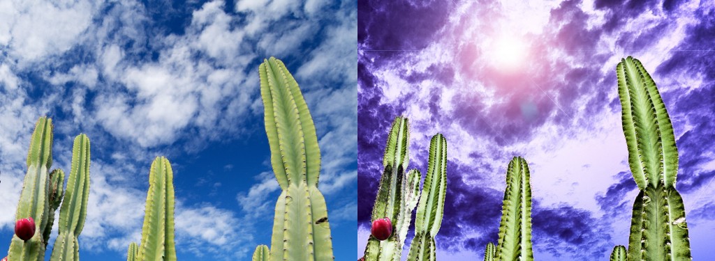 Cactus Sky (Before and after). © Russell Brown, All Rights Reserved.